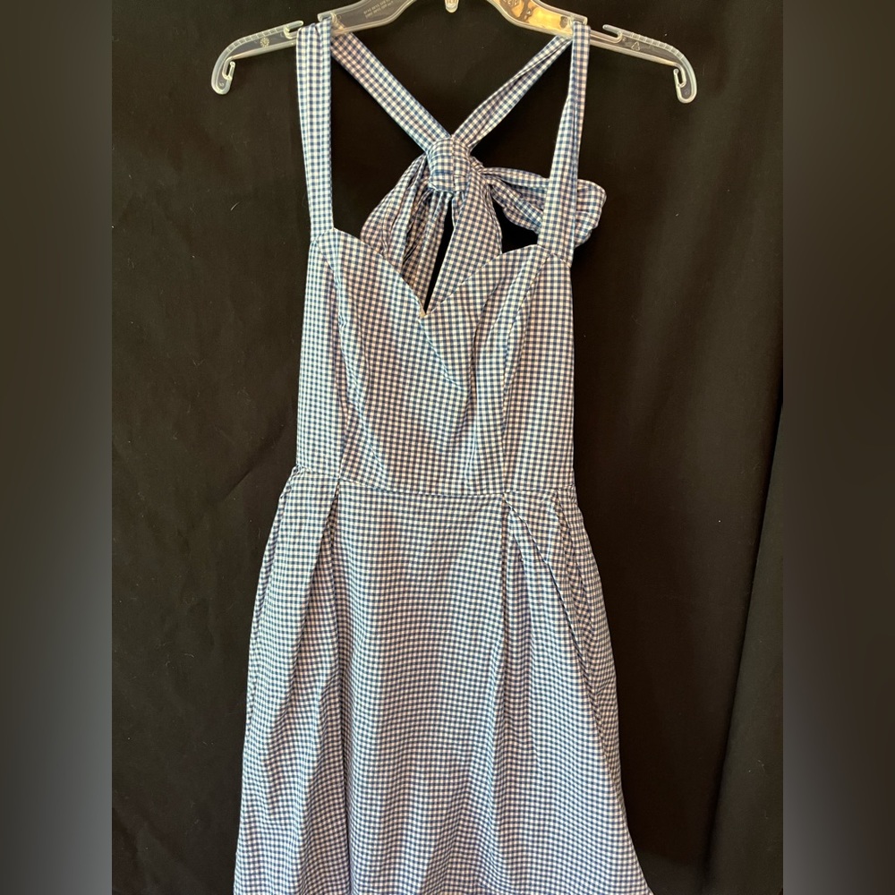 Blue Gingham Lauren James Summer Dress